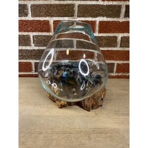 Cohasset Molten Terrarium Vase Glass Vase & Natural Wood Sculpture
